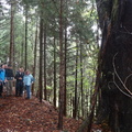 DSC03538.JPG