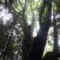 DSC03539.JPG